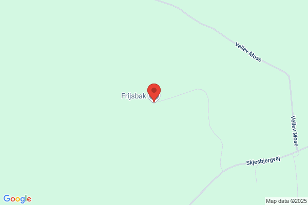 Frijsbak