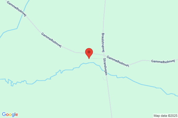 Kjeldgaard, Lisbeth
