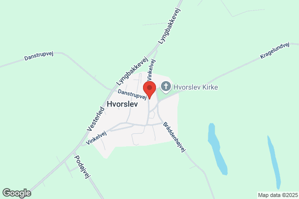 Konservative Folkeparti i Hvorslev Kommune, Det