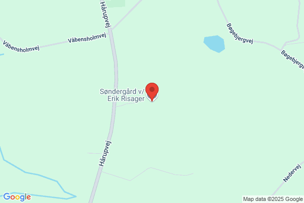 Riisager, Søren