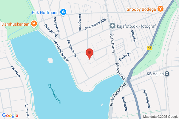 Arkitektfirmaet Ole Hagen Tegnestue A/S