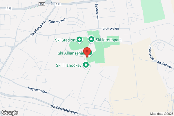 Skibsmæglerforening, Danmarks