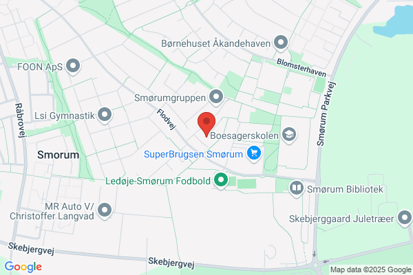 Flyvevåbnet, CS -
