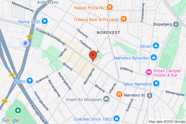 Saki's Græske Pizza grill