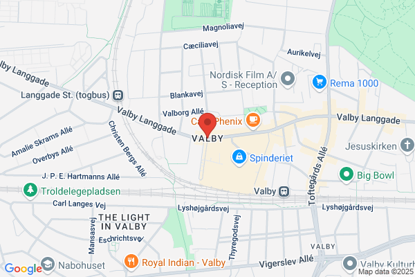 Project no. 1