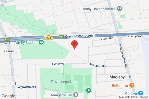 Hundeforeningen af 1970/ Amager Agility