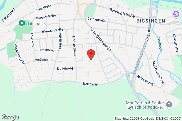 Birma Vennerne