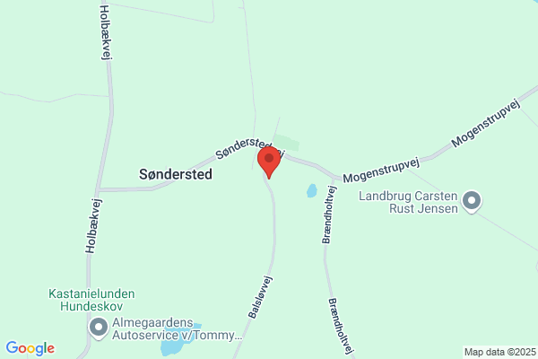Pedersen, Poul