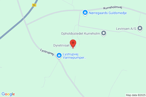 Andersen, Dorte Lykkegaard