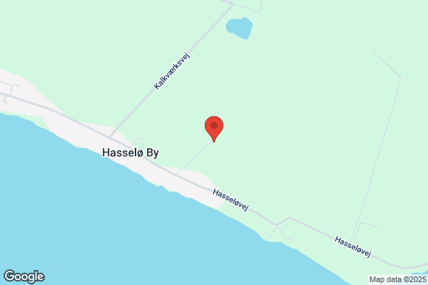 Hasseløy, Niels