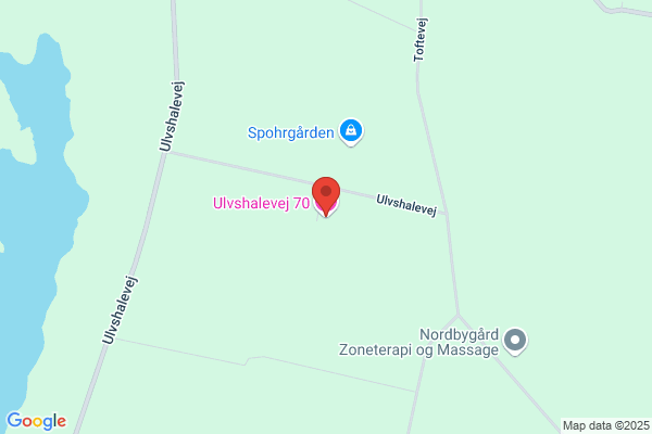 Boligen