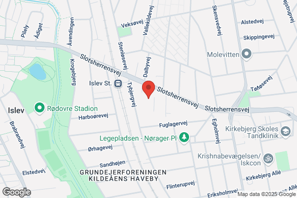 Trinbrædtet