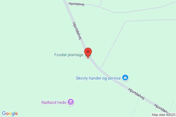 Ansats (Torkil Fosdal)