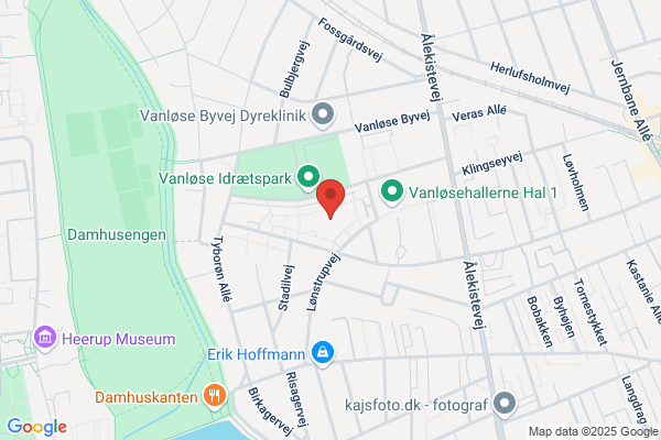 Vingesuset Københavns Kommunes Børnehave