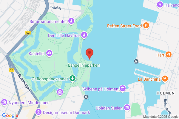 Flyvevåbnet, CS -