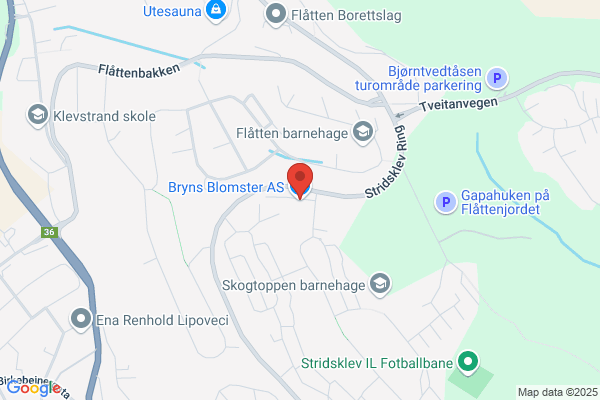 Øbro Blomster