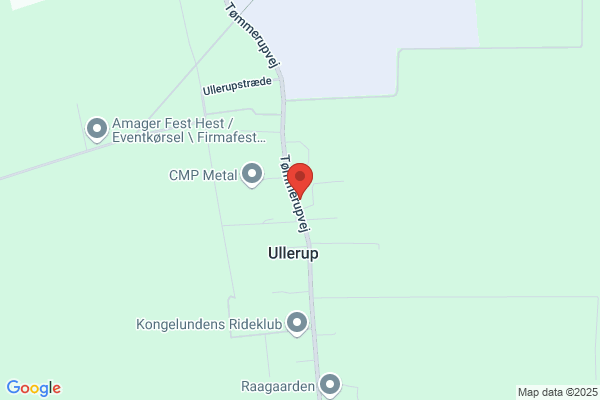 Lille Pony Den