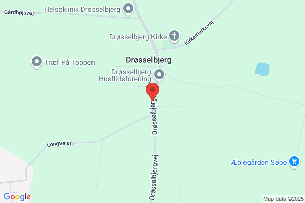 Drøsselbjerg Long, (omr. V)
