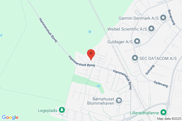 Grundejerforeningen Borrevejle