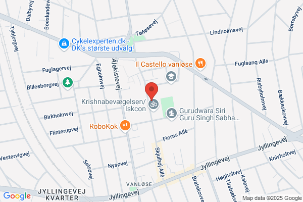 Gadespejlet, Integreret Institution
