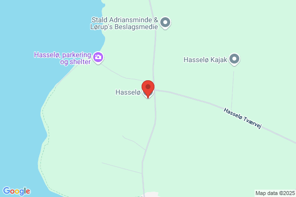 Hassel