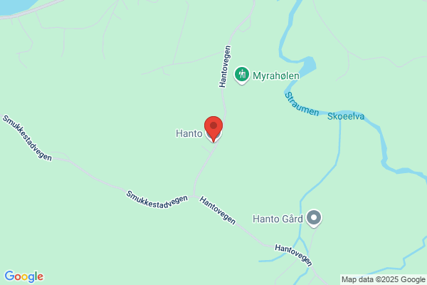 Hantho, Arne