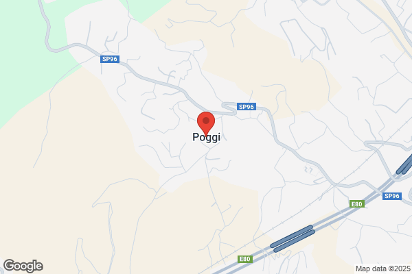 Poggi, Paolo Nesti