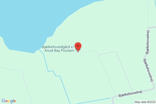 Bjergbakke Knud F.