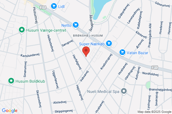 HOVEDSTADENS VVS TEKNIK