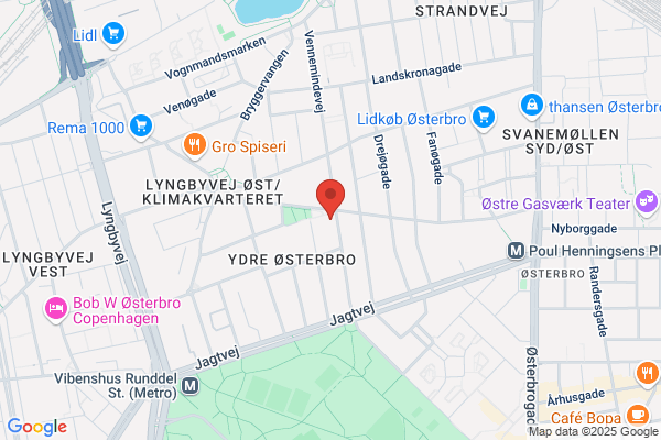 Psykoterapi (Petti Kirkeby Ravn)