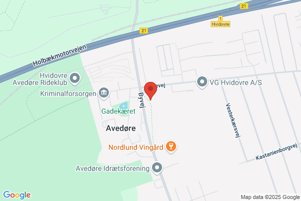 Exner, Gytte