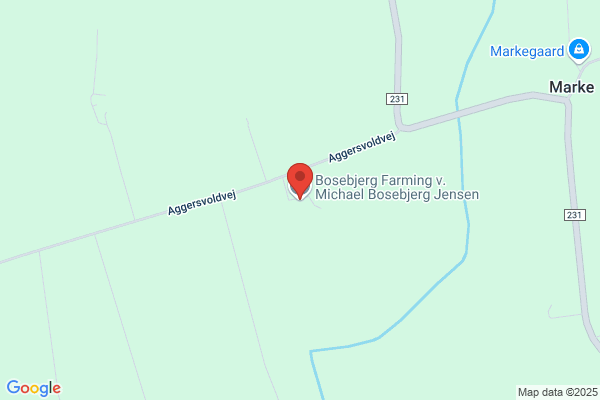 Bosebjerg, Steen