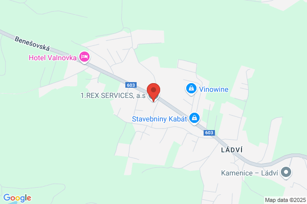 Rex Special Service