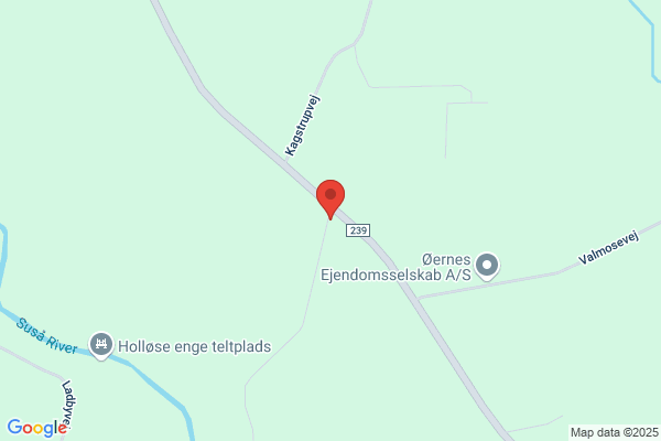 Nielsen, Palle Lynge