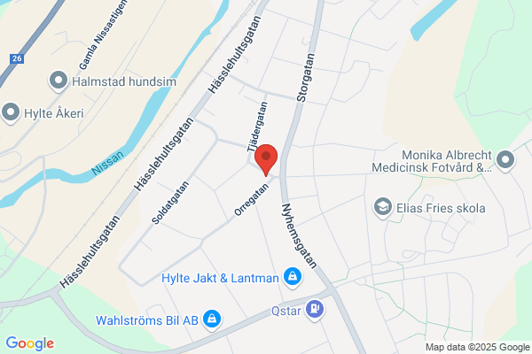 Taxivognmands Virksomhed