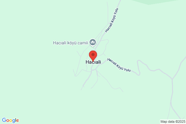 Yüksel Haci Ali