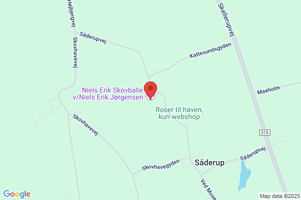 Ubbe, Niels Erik