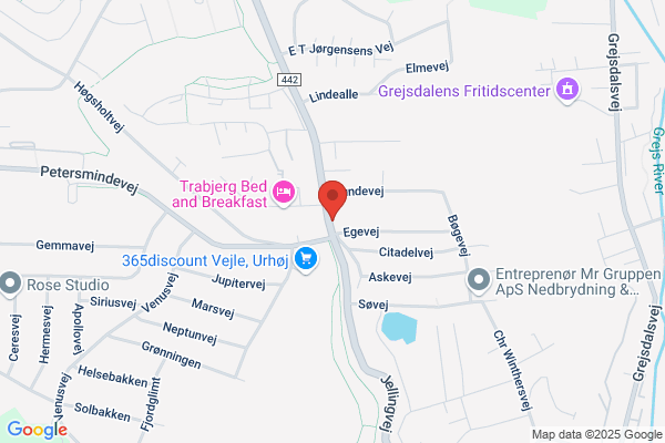 Den Flyvende Tallerken