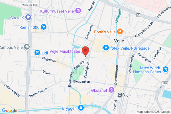 Dansk Handicap Forbund, Vejle afd.