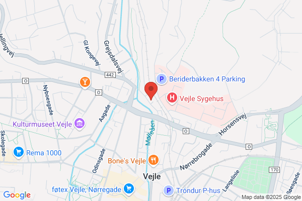 Vejle Maleren