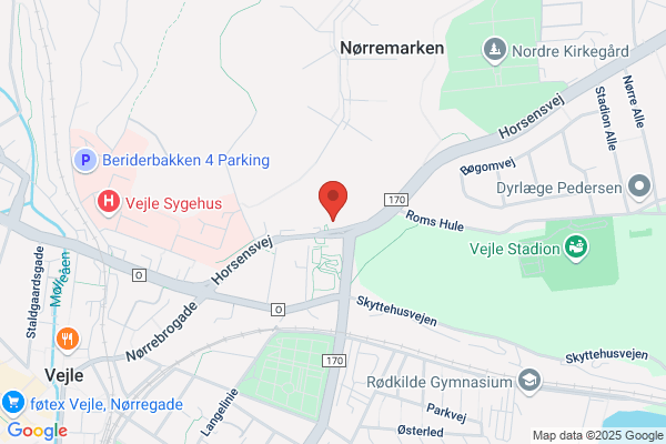 FEGU-Vejle Læseskole