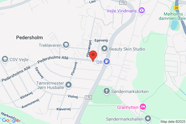 Pedersen, Verner