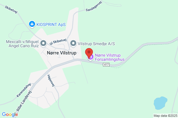 Vildrosen