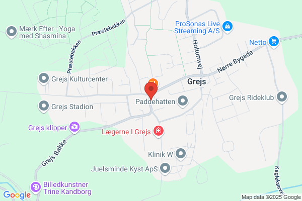 Gode Fe - Hjemmeservice, Den