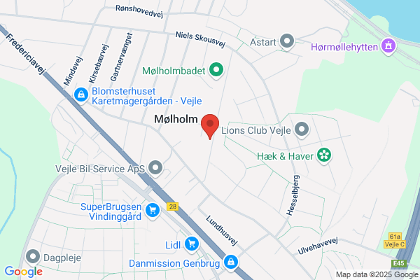 Frihjulet - Skolefritidsordningen ved Mølholm Skole
