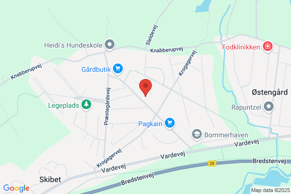 Vejle Bordtennis Klub