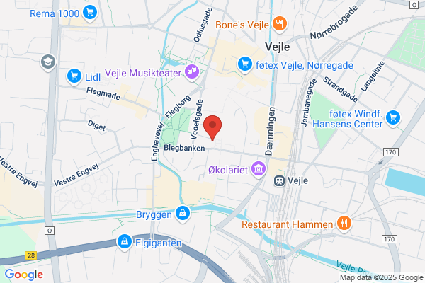 Regionale Arbejdsmarkedsråd (RAR) - Vejle Amt, De