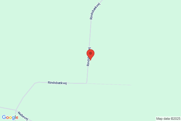 Vissing, Kim
