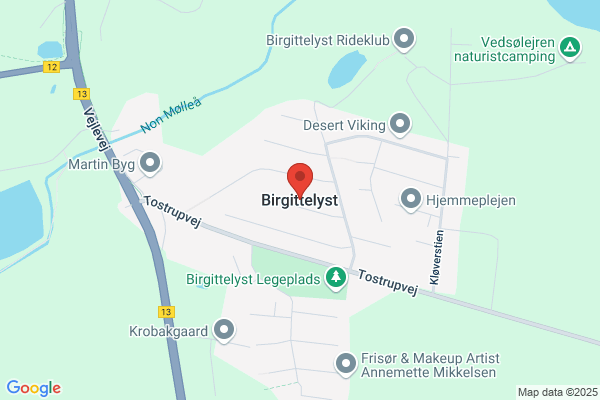 Grundejerforeningen Birgittelyst