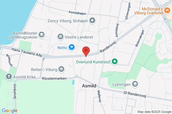 Mandrup Viborg ApS, Jens